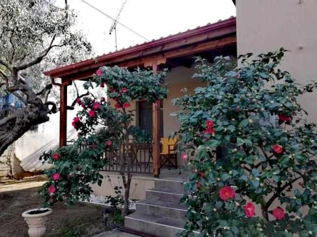 Villa John And Tania'S Garden Prínos Exterior foto